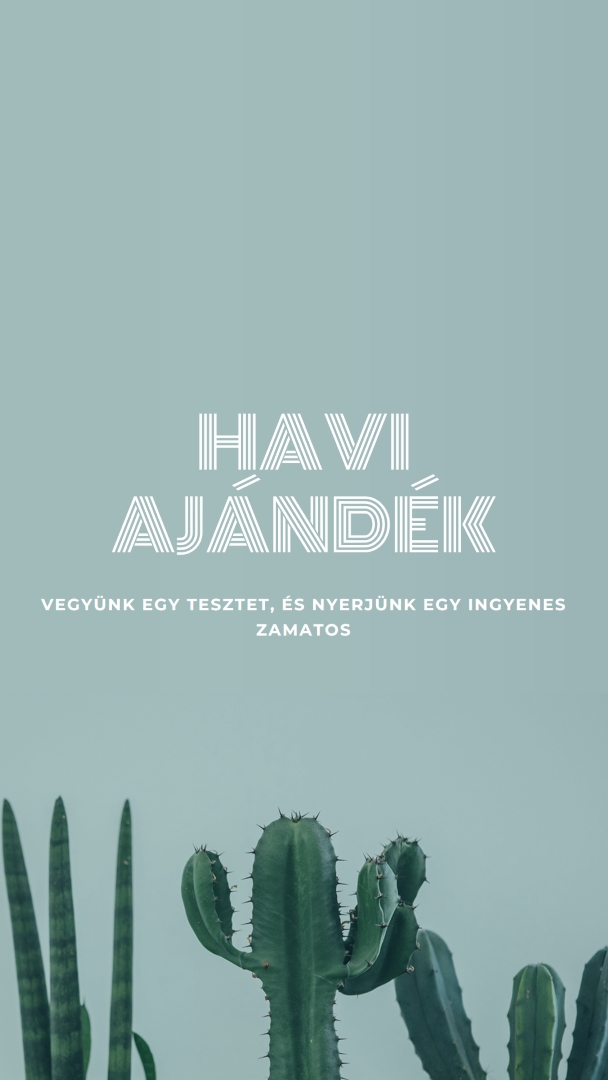 Havi ajándékkvíz green modern-simple