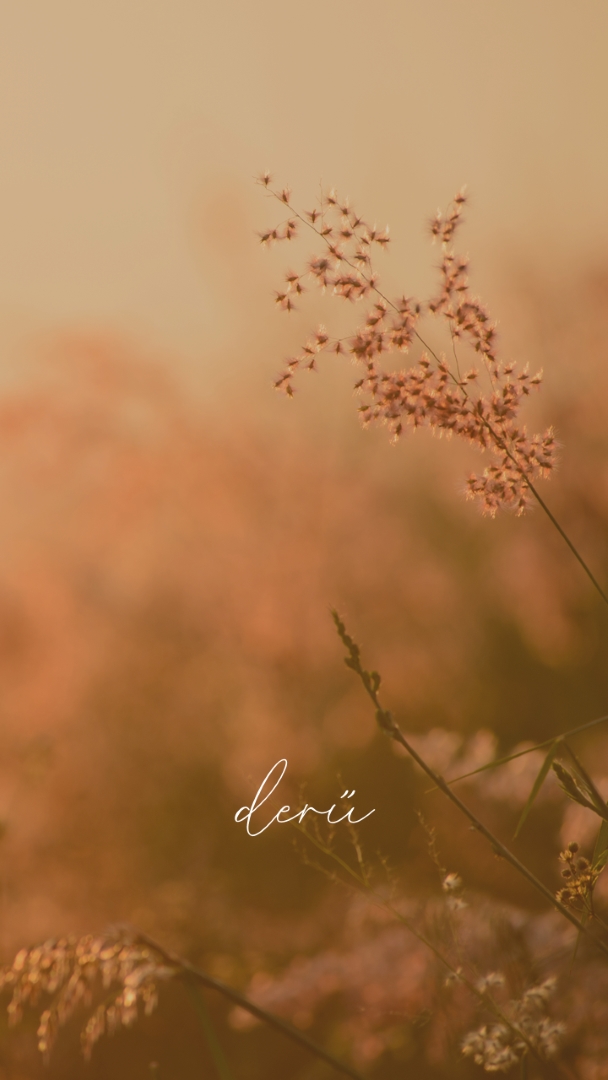 A nyugalom mezői brown modern,minimal,nature,quiet,soft,plants