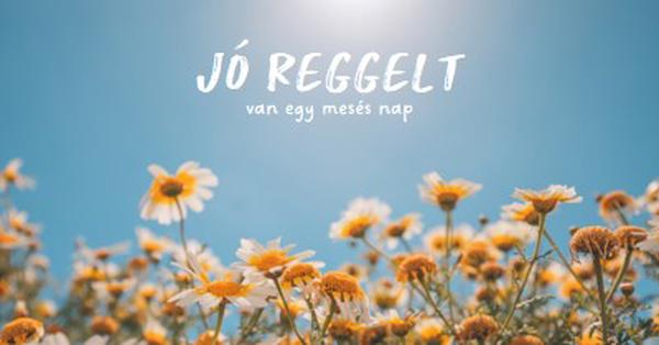 Legyen egy mesés nap blue modern,simple,photography,flowers,birght,fresh