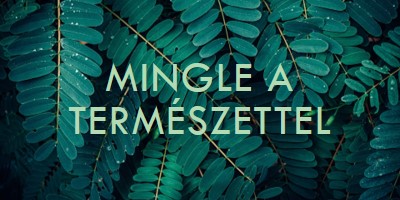 Mingle a természettel green modern-simple