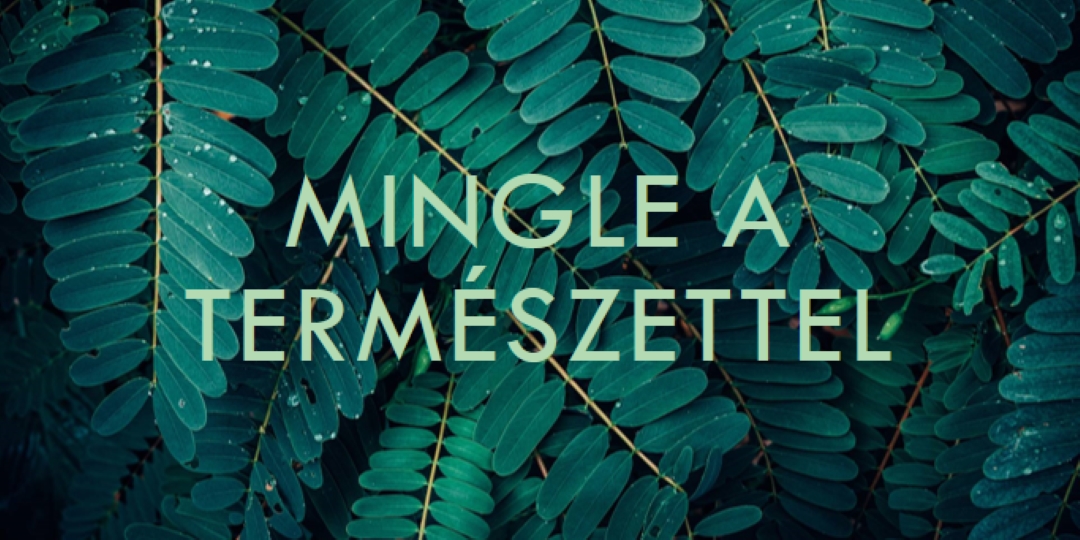 Mingle a természettel green modern-simple