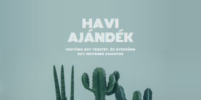 Havi ajándékkvíz green modern-simple