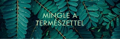 Mingle a természettel green modern-simple