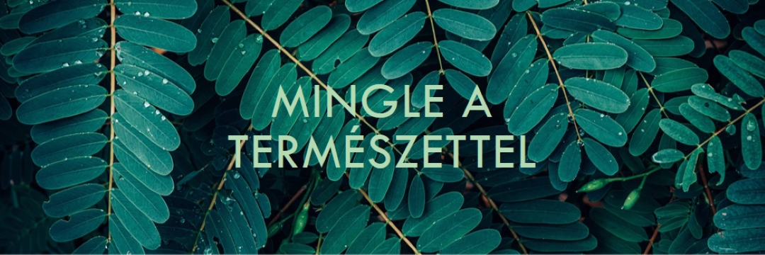 Mingle a természettel green modern-simple