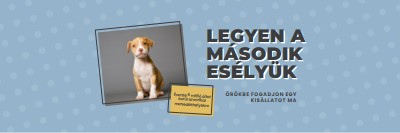 Második esélyű pup blue modern-bold