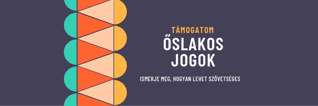 Őslakos jogosultságok támogatása blue modern-color-block