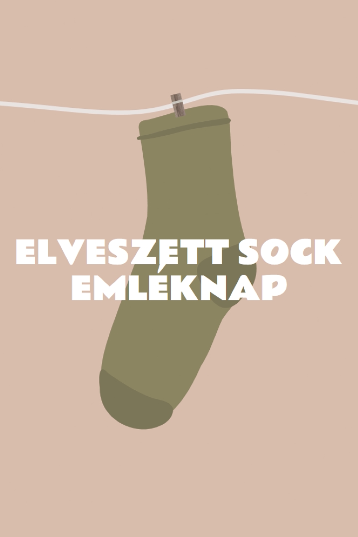 Az elveszett zokni emléknapja brown whimsical-color-block