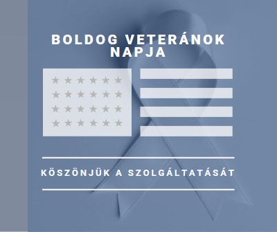 Az amerikai veteránok tisztelete gray modern-simple