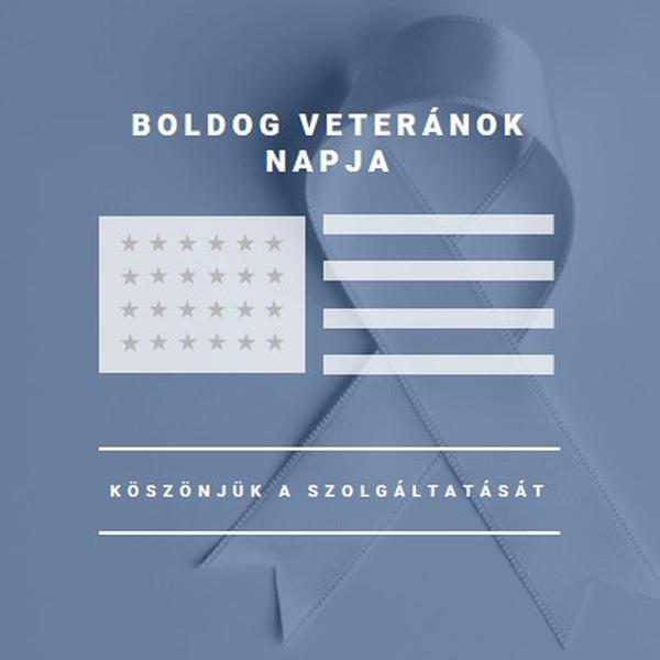 Az amerikai veteránok tisztelete gray modern-simple