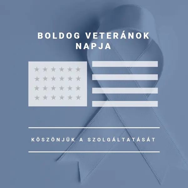 Az amerikai veteránok tisztelete gray modern-simple