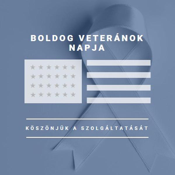 Az amerikai veteránok tisztelete gray modern-simple