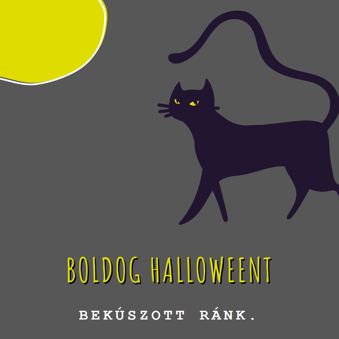 Hátborzongató macska black whimsical-color-block