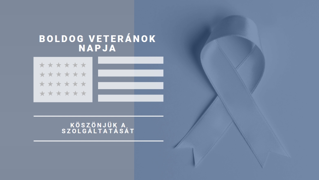 Az amerikai veteránok tisztelete gray modern-simple