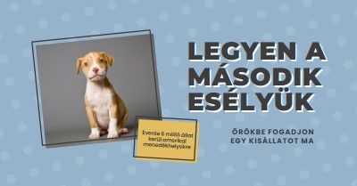 Második esélyű pup blue modern-bold