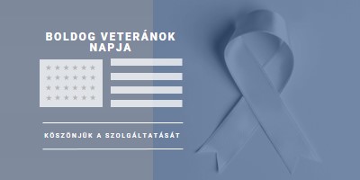 Az amerikai veteránok tisztelete gray modern-simple