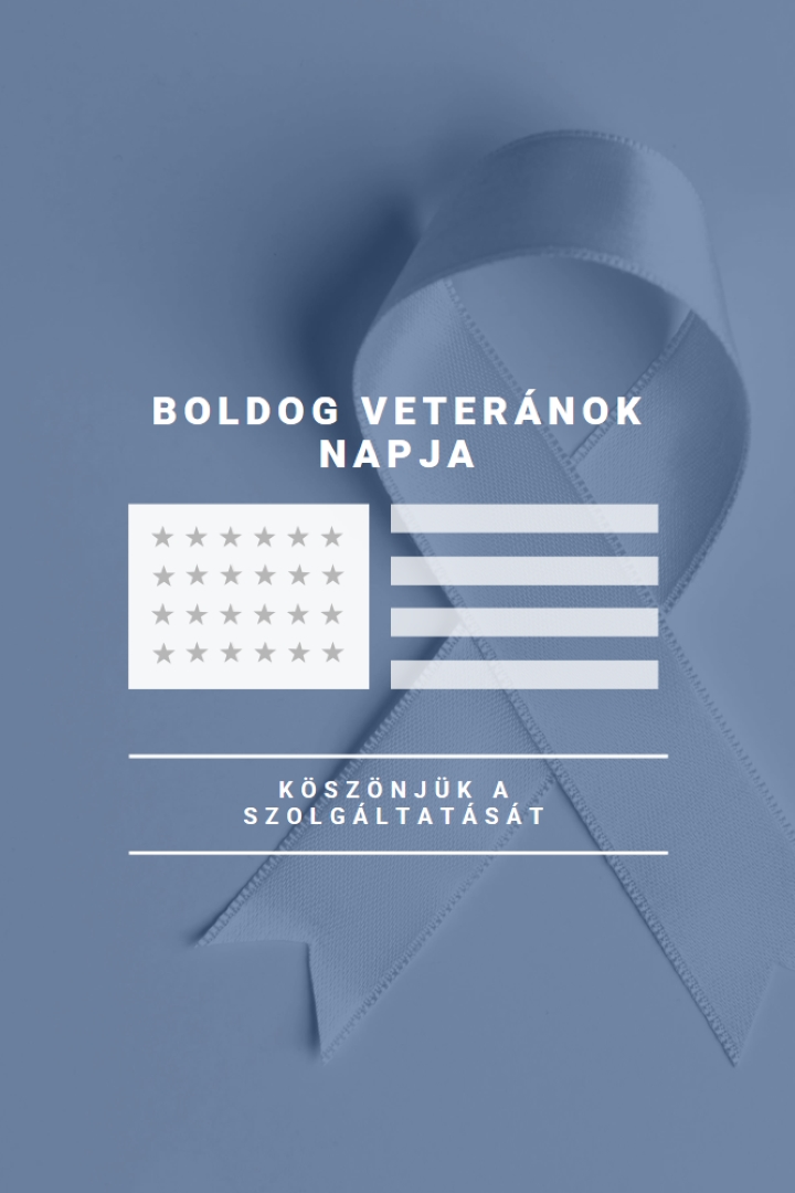 Az amerikai veteránok tisztelete gray modern-simple