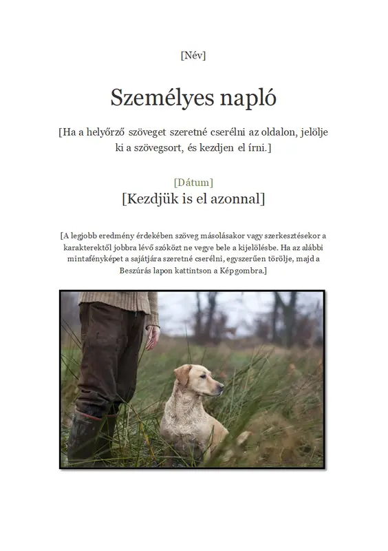 Személyes napló