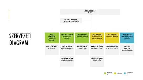 Egyszerű szervezeti diagram modern simple