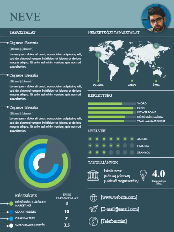 Nemzetközi infografikus önéletrajz blue modern simple