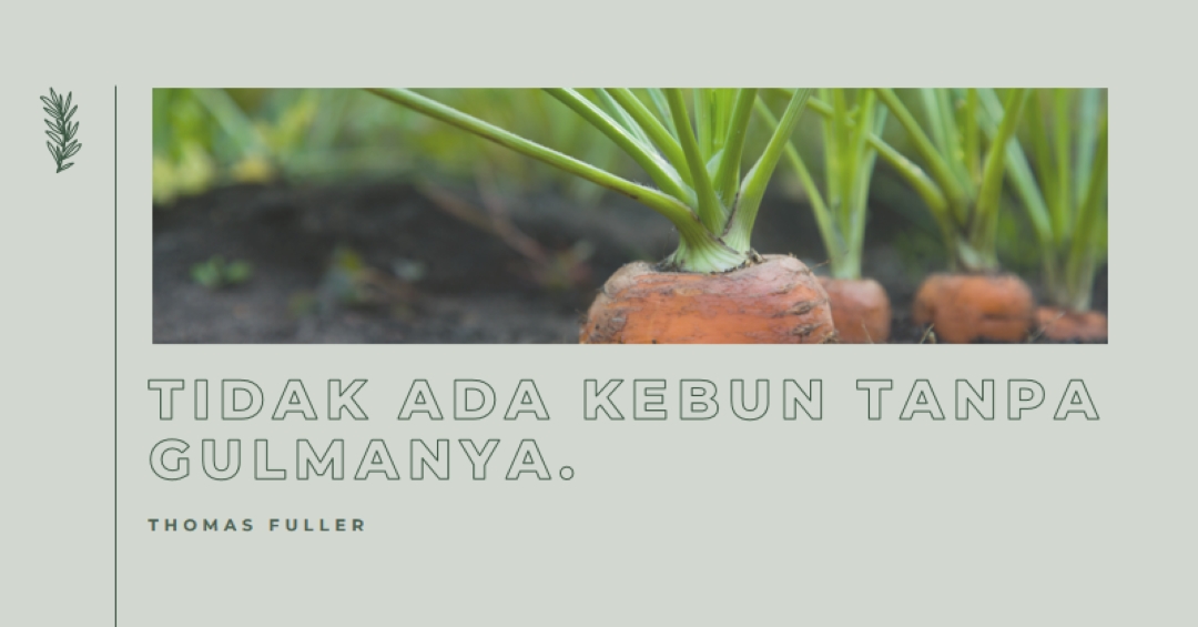 Akar yang dalam green modern-simple