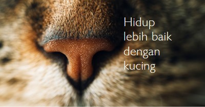 Hidup lebih baik dengan kucing brown modern-simple