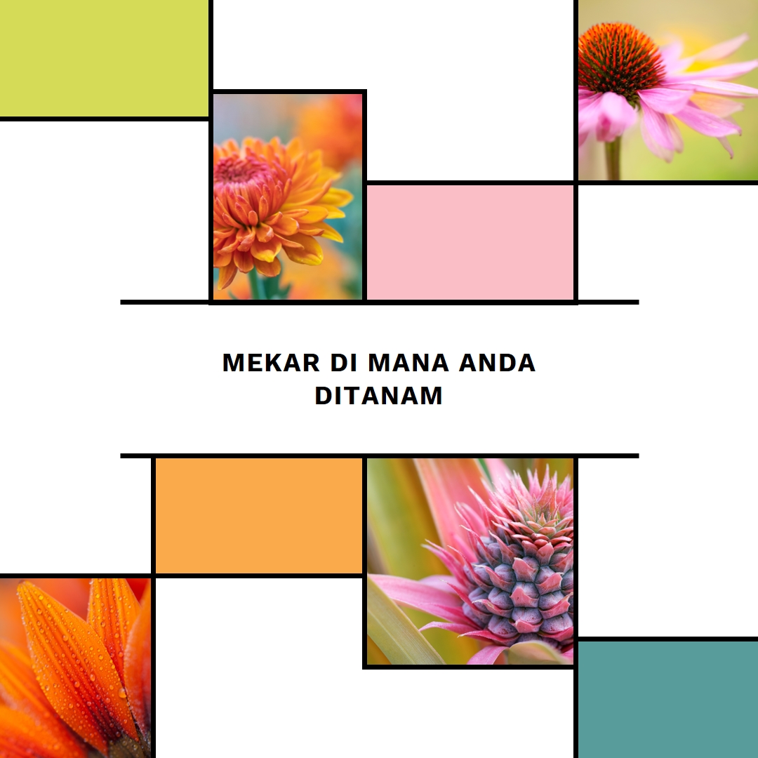 Mekar di mana Anda ditanam white modern-geo-&-linear