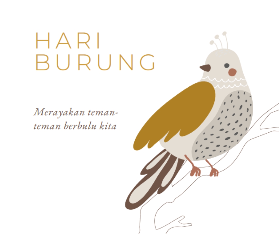 Sky adalah batasnya white whimsical-line