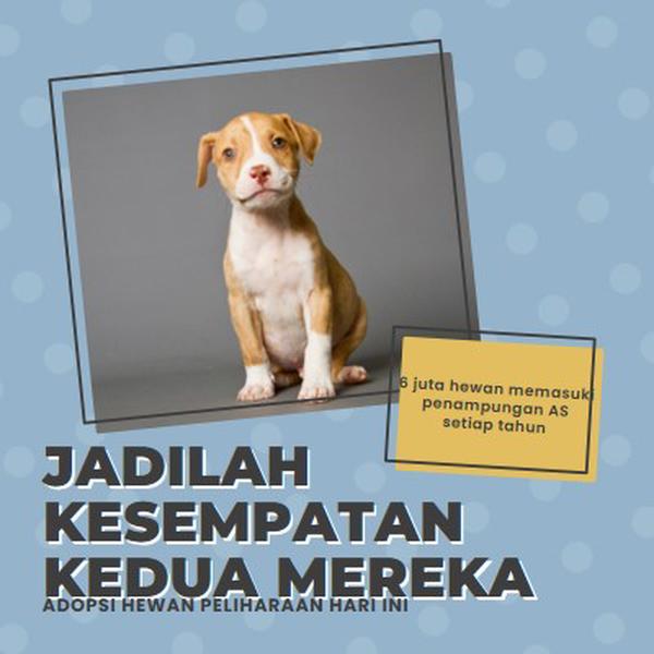 Anak anjing kesempatan kedua blue modern-bold