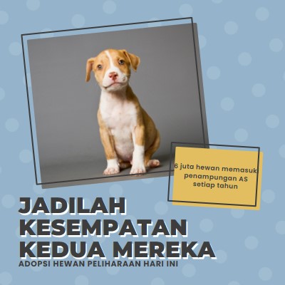 Anak anjing kesempatan kedua blue modern-bold