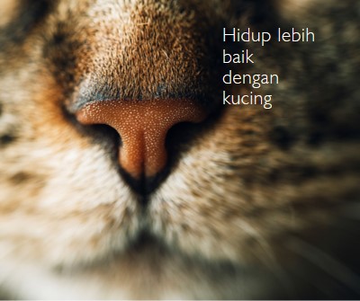 Hidup lebih baik dengan kucing brown modern-simple