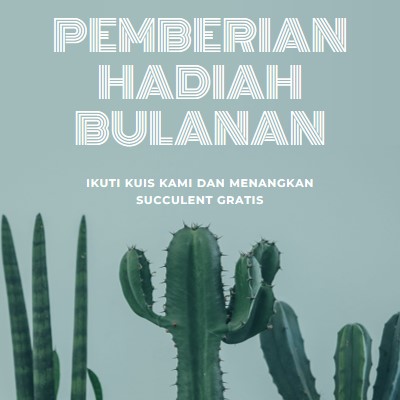 Kuis pemberian hadiah bulanan green modern-simple