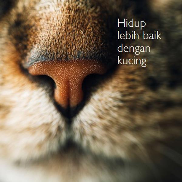 Hidup lebih baik dengan kucing brown modern-simple