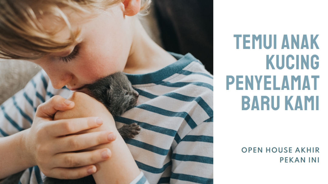 Perkenalkan penyelamatan baru kami pink modern-simple