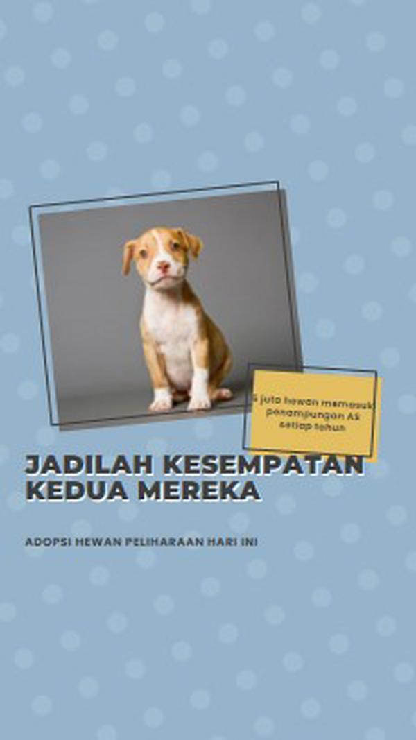 Anak anjing kesempatan kedua blue modern-bold