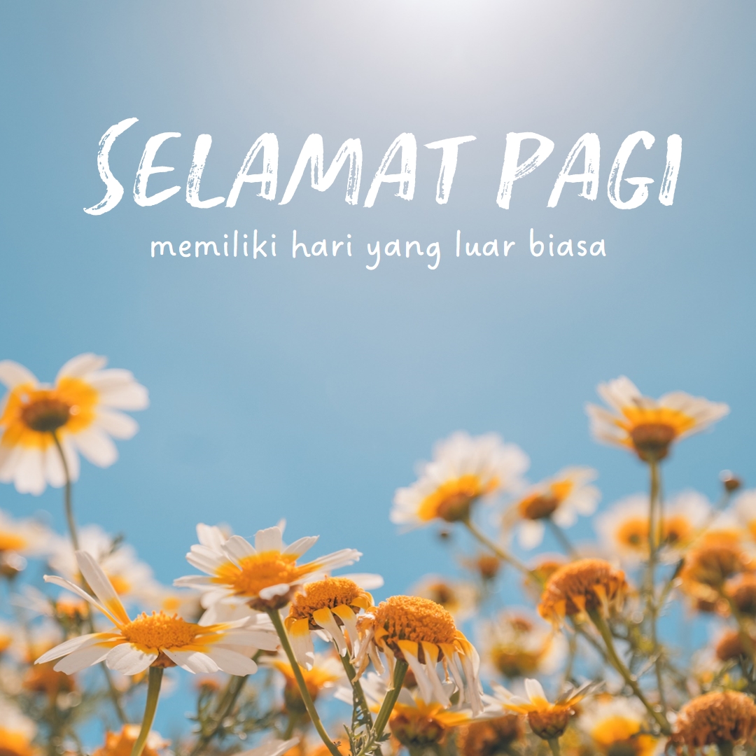 Memiliki hari yang luar biasa blue modern,simple,photography,flowers,birght,fresh