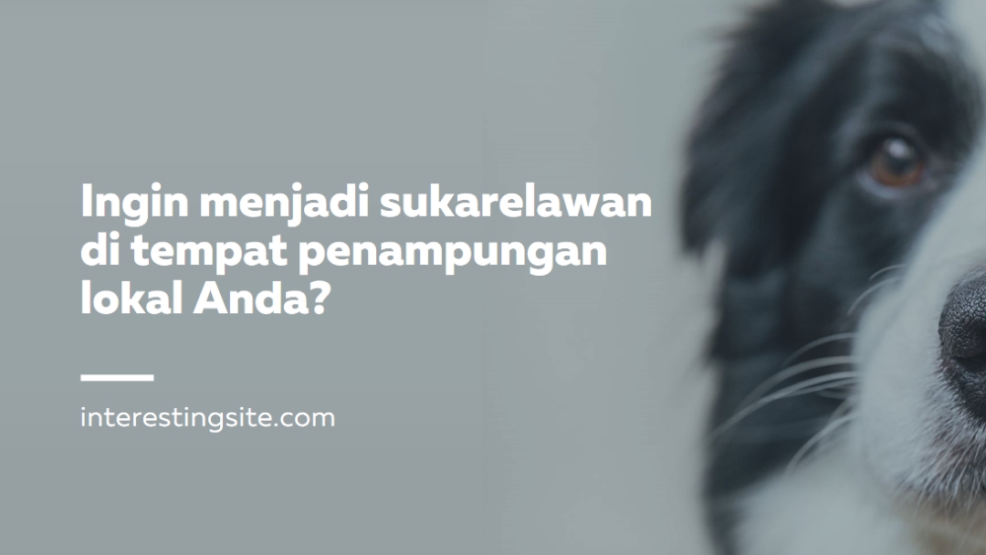 Sukarelawan dan membawa sorak sorai blue modern-simple