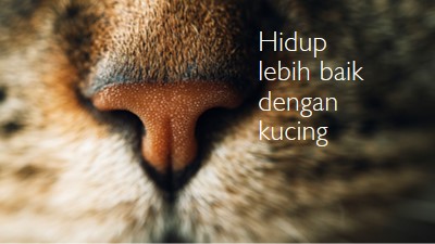 Hidup lebih baik dengan kucing brown modern-simple