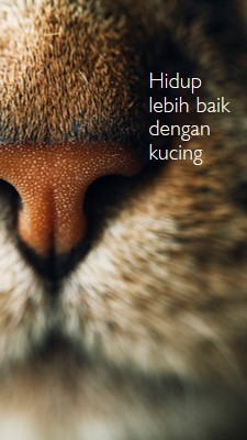 Hidup lebih baik dengan kucing brown modern-simple