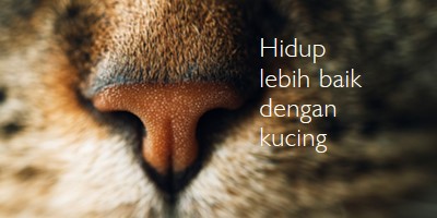 Hidup lebih baik dengan kucing brown modern-simple