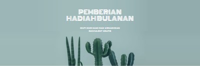 Kuis pemberian hadiah bulanan green modern-simple