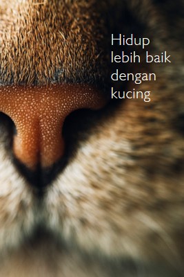 Hidup lebih baik dengan kucing brown modern-simple