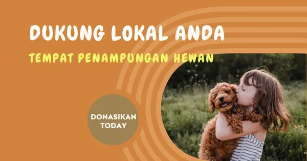 Penampung penampungan orange whimsical-color-block