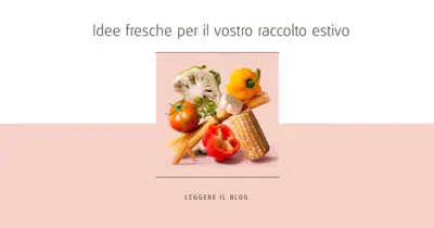Raccolto estivo pink modern-simple