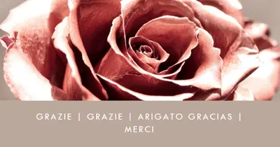 Fiore di gentilezza pink modern-simple