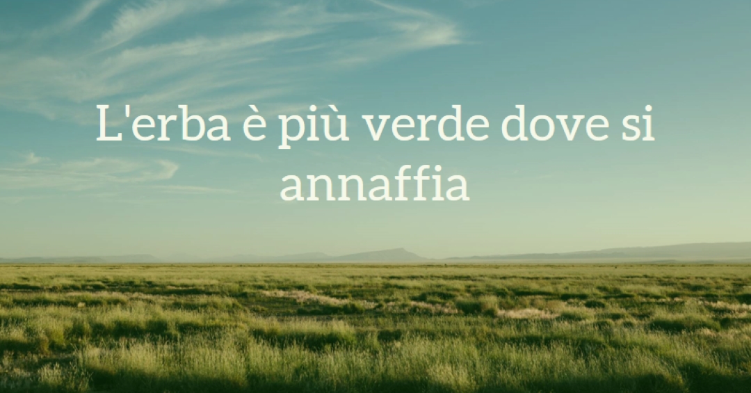 Natura migliore blue modern-simple
