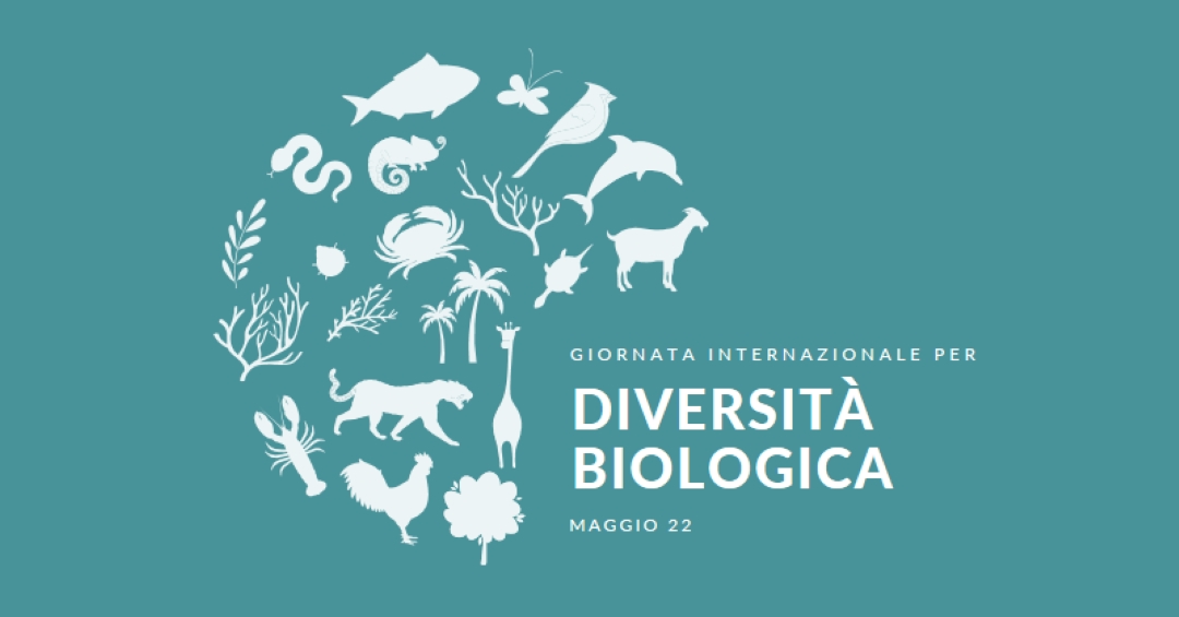 Festeggia la Giornata Mondiale della Biodiversità blue modern-simple