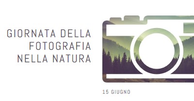 Giornata della fotografia nella natura white modern-simple