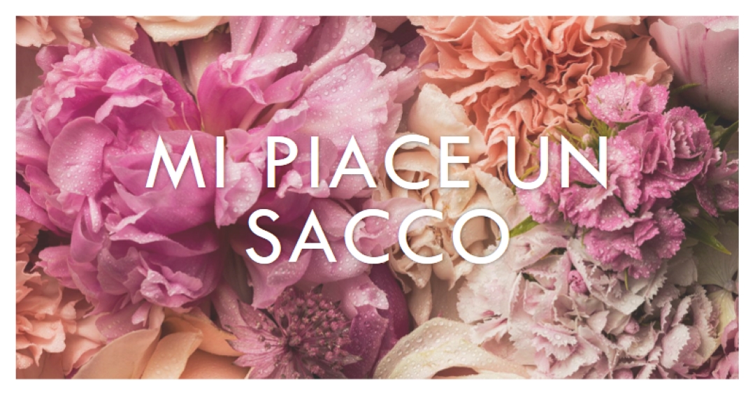 Sensazioni floreali pink modern-simple