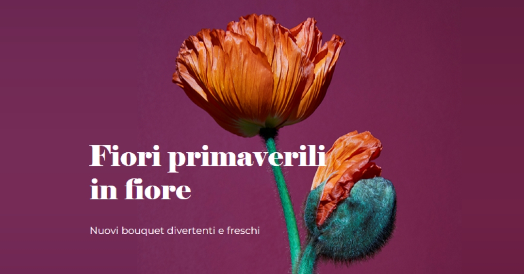 Fiori freschi purple modern-simple
