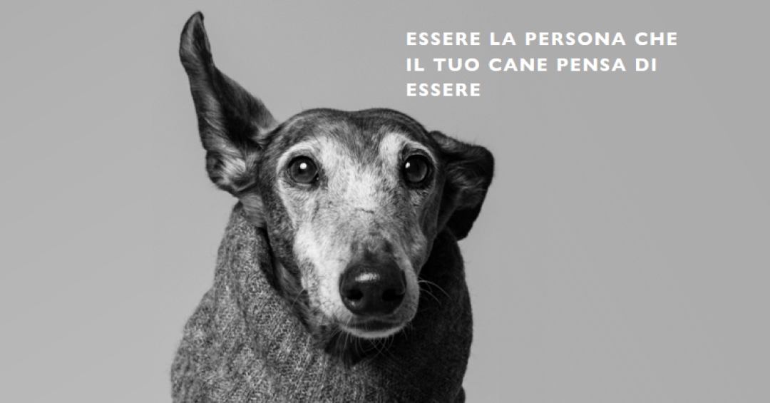 Cotta adolescenziale gray modern-simple